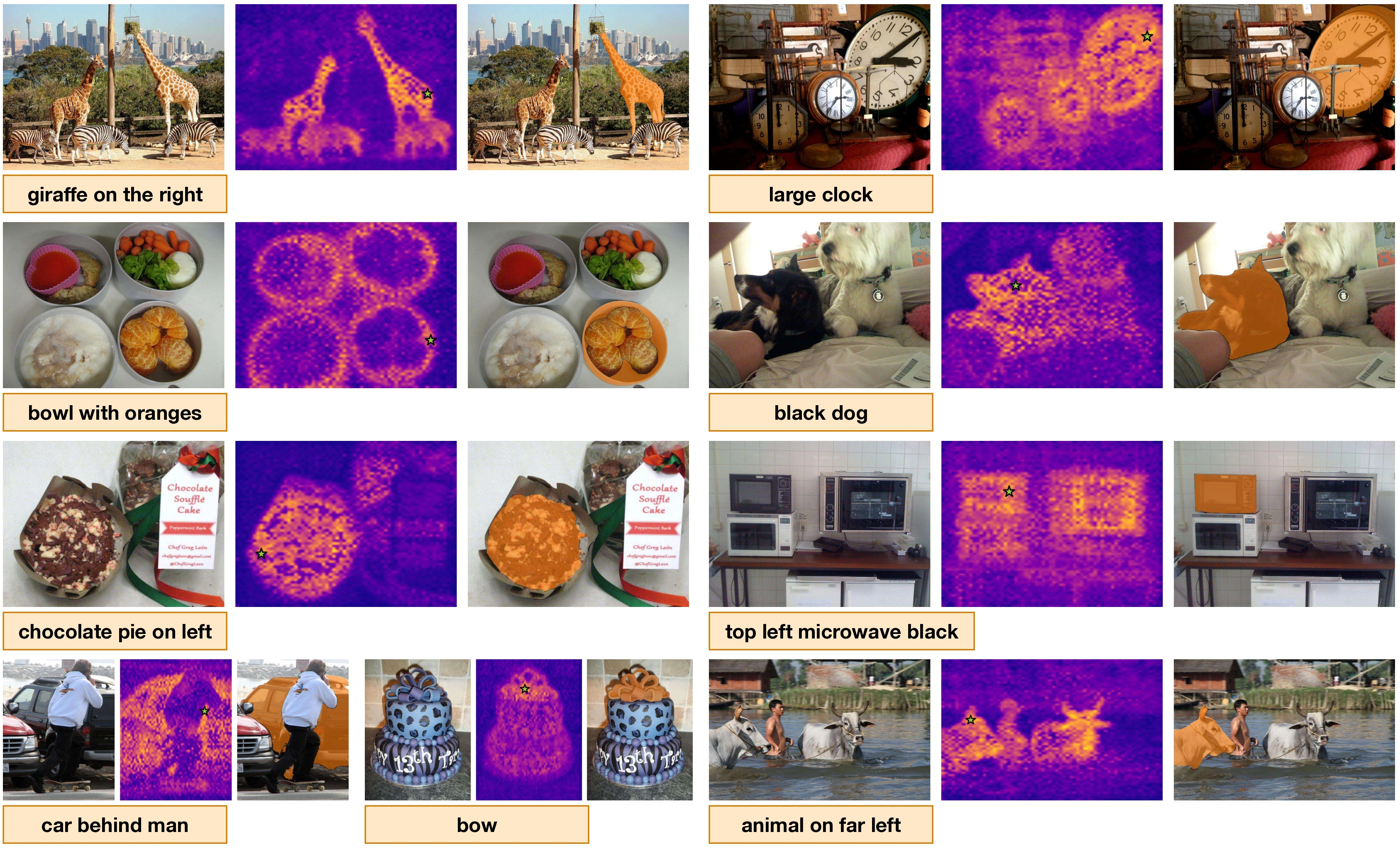 Referral Image Object Segmentation Examples