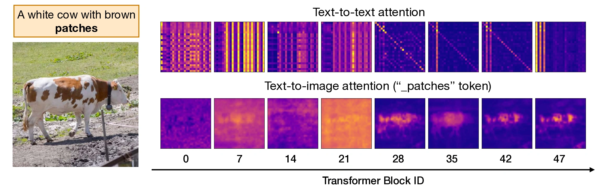 Emergence of Semantic Information in DiT